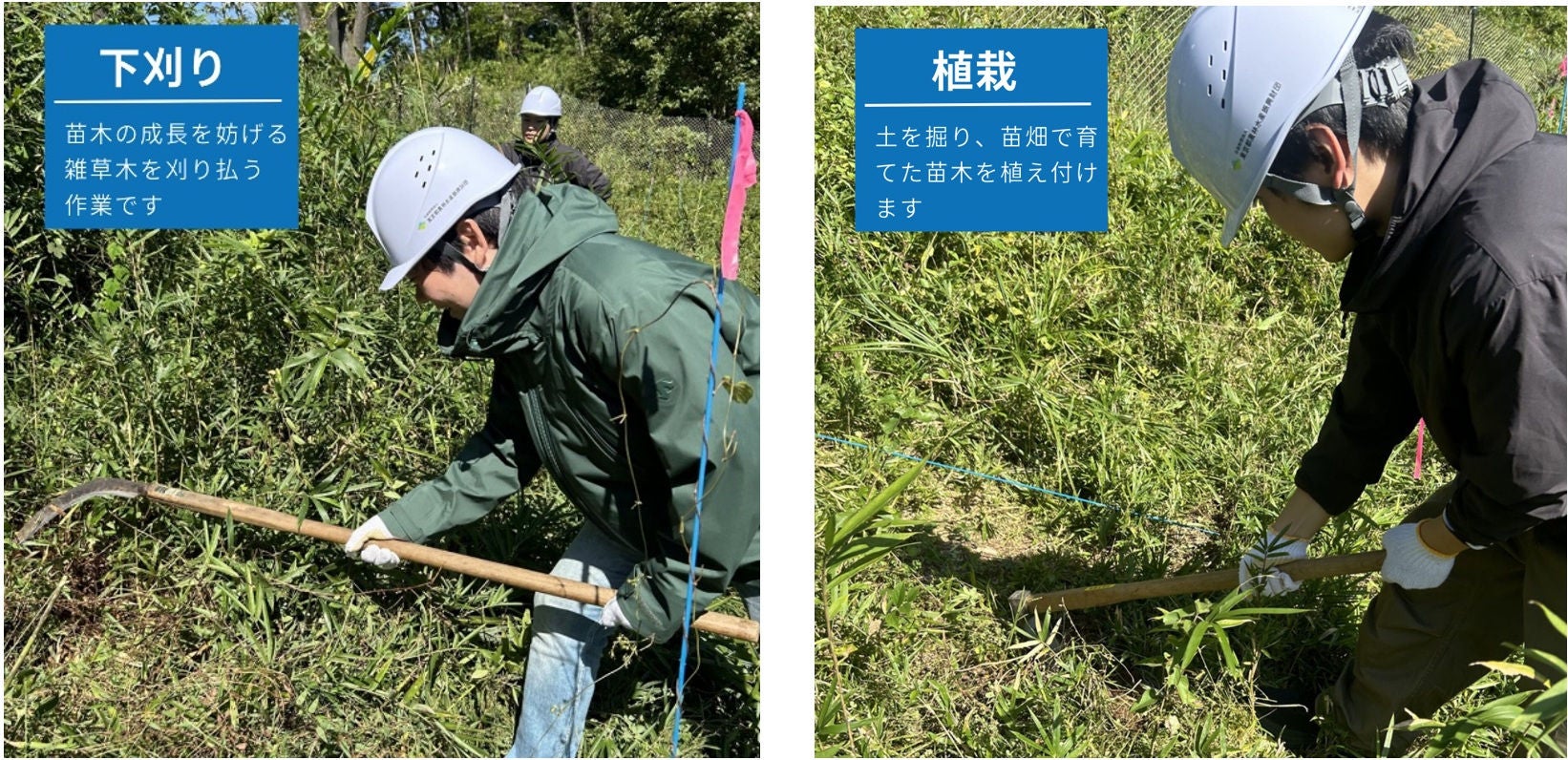 企業の森：サトーグループ「あくなき創造の森」での活動の様子